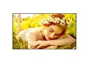 Digital skyltning & Hotell - LG 55UL5Q-M Signage Display 55" - 55UL5Q-M