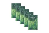 Ansiktsvård - SKIN1004 Madagascar Centella Tea-Trica Relaxing Mask - 8809913833161