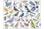 Pusselspel - Larsen Puzzles Garden Birds Jigsaw Puzzle – 69 pieces Maxi (36.5 x 28.5 cm) 2D Pussel - ZOO4-V1