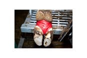 Häst - KRUUSE BOVIVET Hoof Bandage 10/pk - 220420