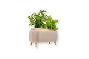 Decoration - Simiu - Thalor Herbs - kryddörtkruka - Stor - 5714255019612