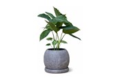 Decoration - Simiu - Morra - Kruka - Ø11,5 CM - 5714255019872