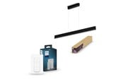 Smarta Hem - Philips Hue Ensis Svart + Dimmer Switch V2 - 8500642