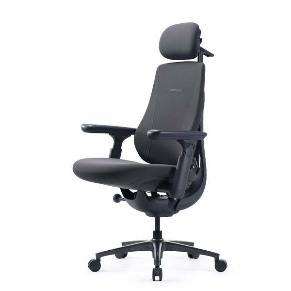 LiberNovo Maxis SE (Manual) - Graphite Kontorsstol