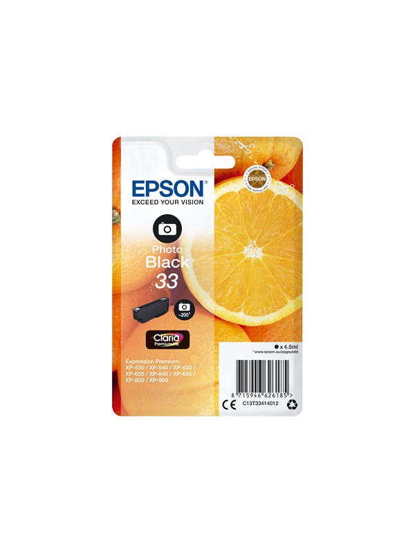 Epson 33 Photo Black Ink