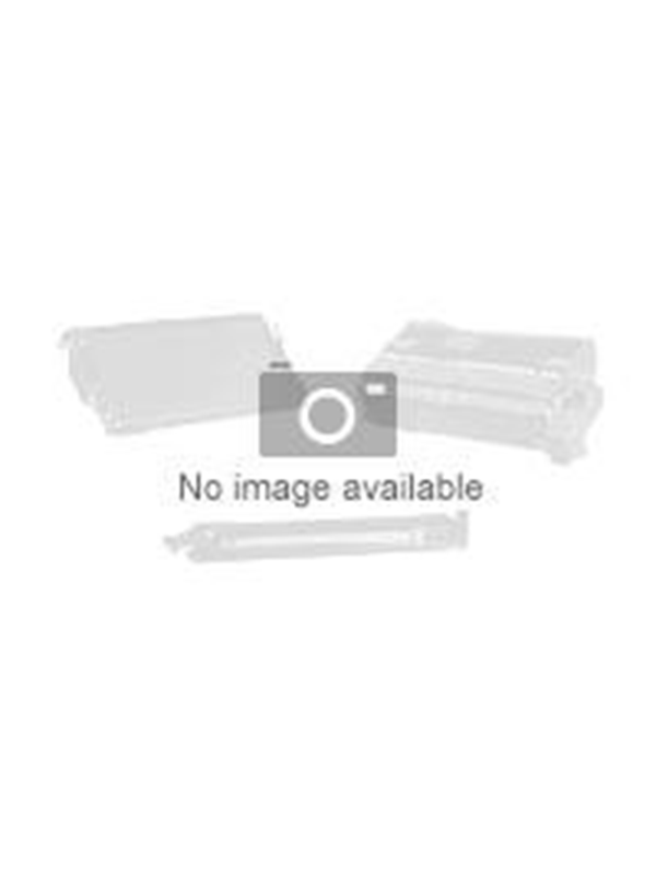 Epson 33