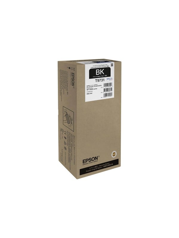 Epson T9731