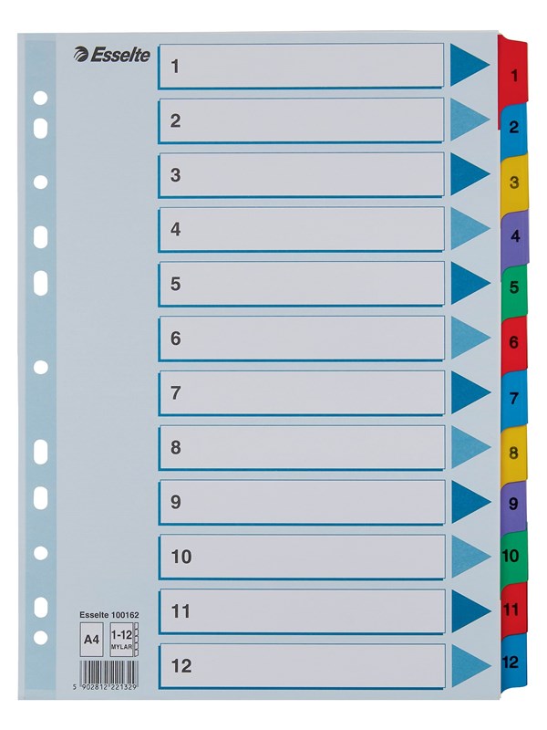 Esselte Register Mylar A4/1-12 multifärgat