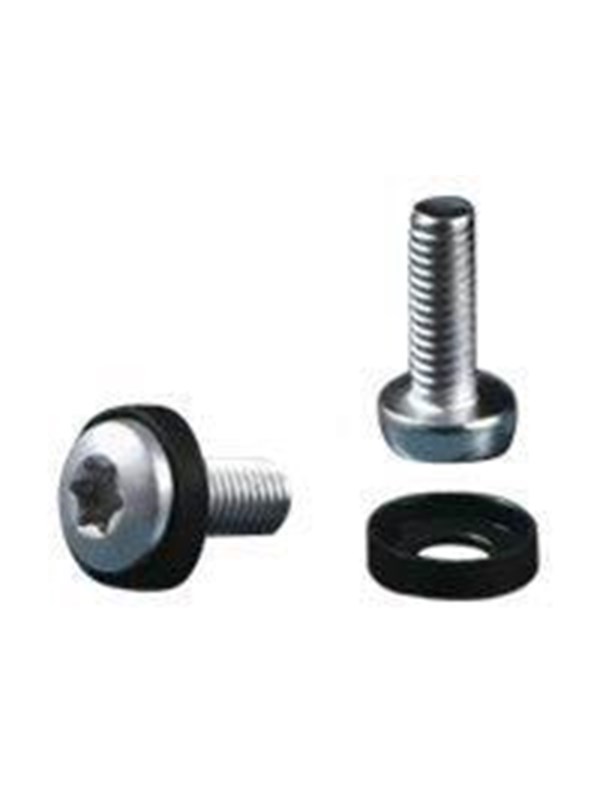 Rittal DK Multi-tooth screw M5x16