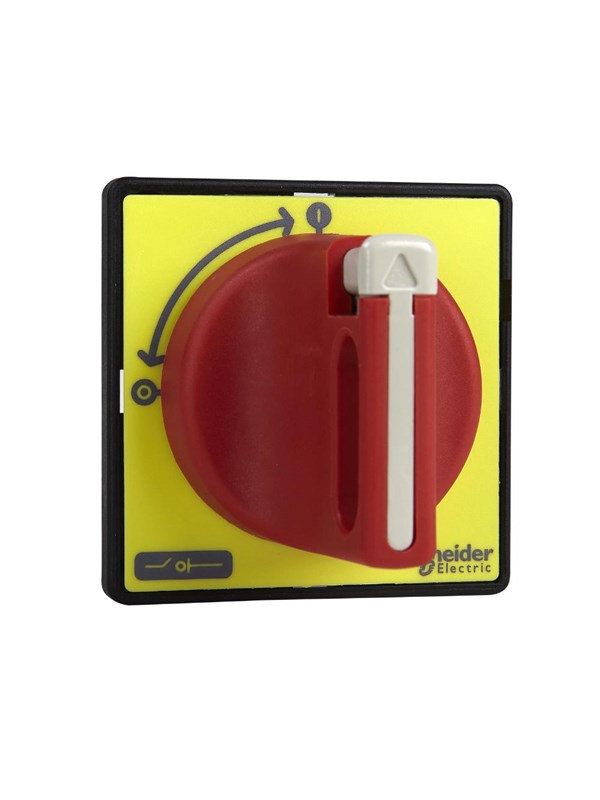 Schneider Electric Main switch discon.25a