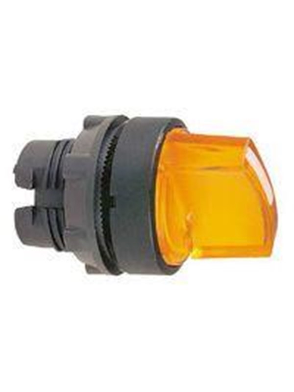 Schneider Electric Illuminated selec to r switch head 2 pos