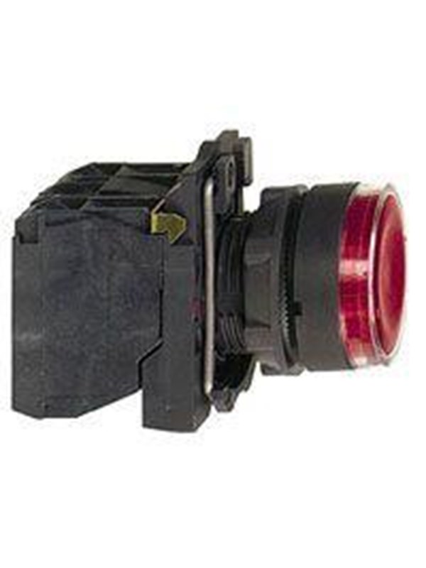 Schneider Electric Illuminated pushbutton