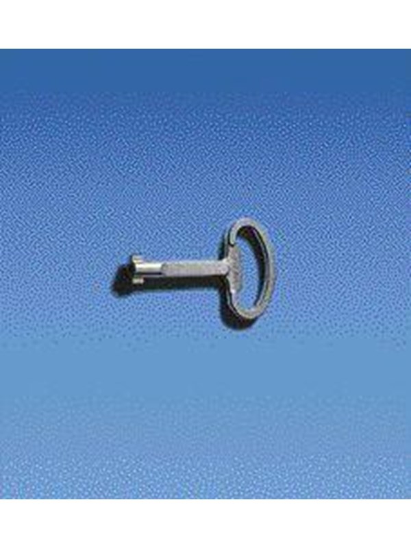Rittal Doors locks