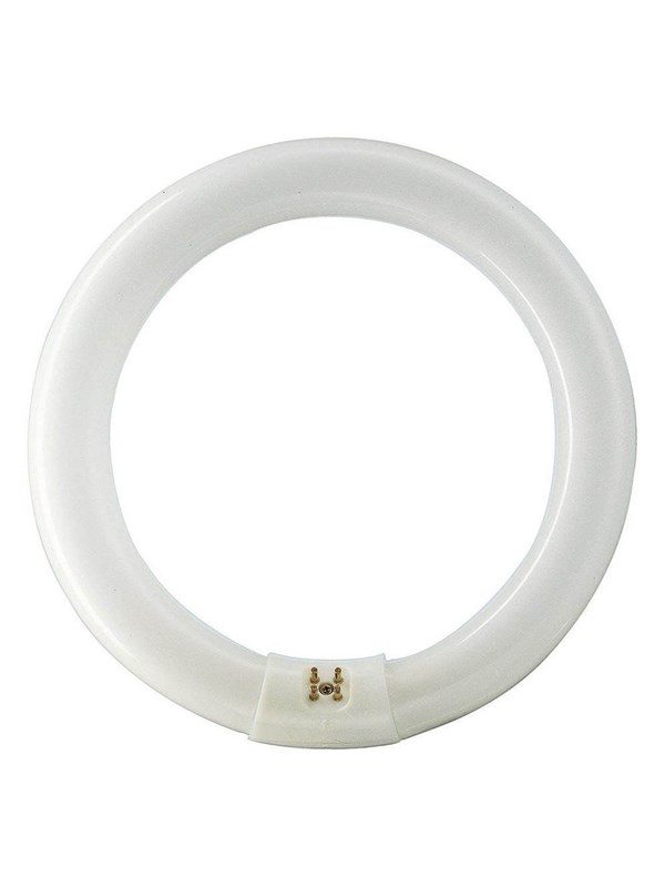 Philips Fluorescerande glödlampa Master TL-E Circular 40W/830 G10q