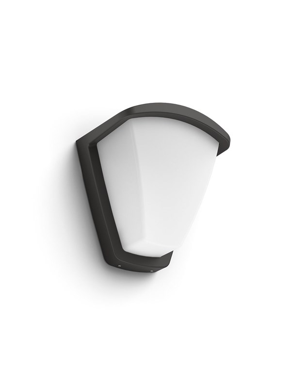 Philips Kiskadee wall lantern anthracite 1x42W