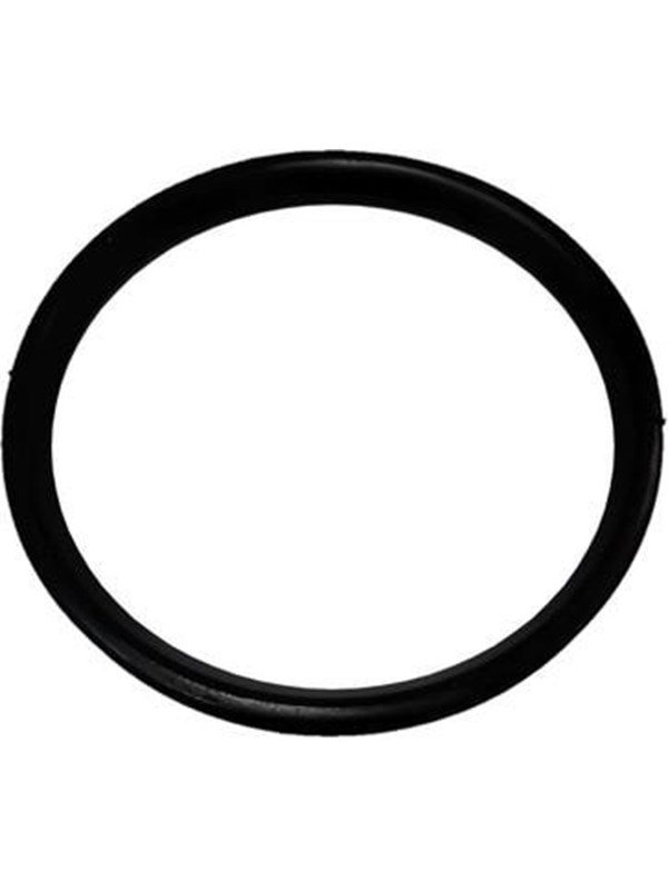 ALIAXIS Dblue sealing ring ø50