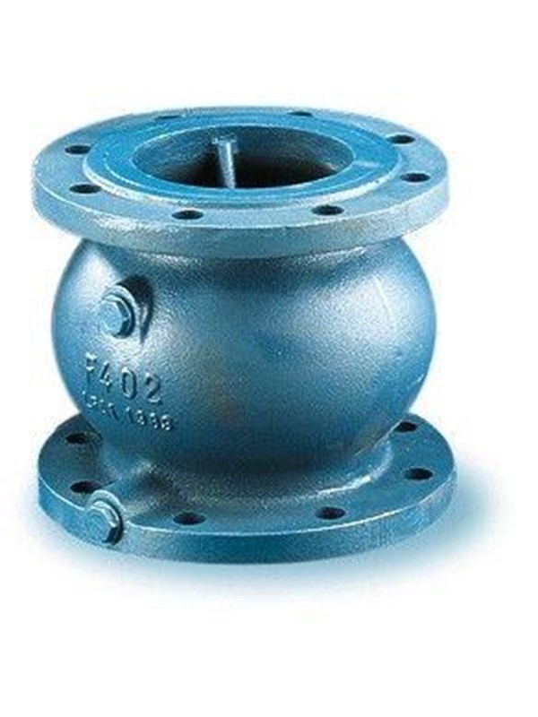 Watts Industries Non return valve socla 402b pn10 dn 80