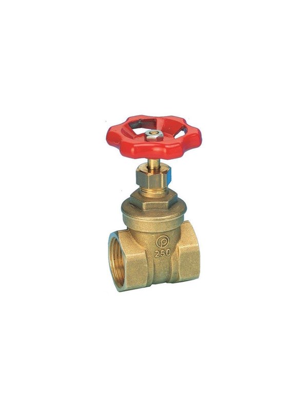 Pettinaroli Brass gate valve 3
