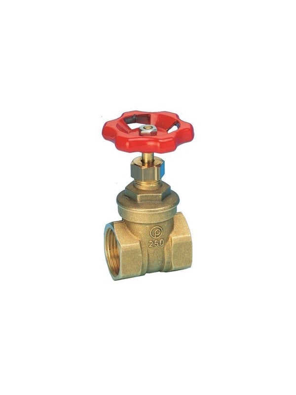 Pettinaroli Brass gate valve 2 1/2