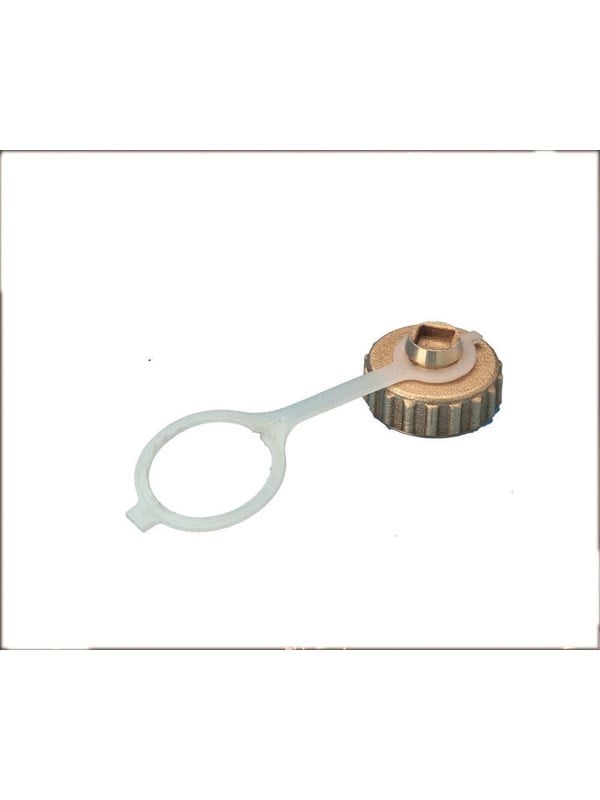 Pettinaroli Cap washer and chain