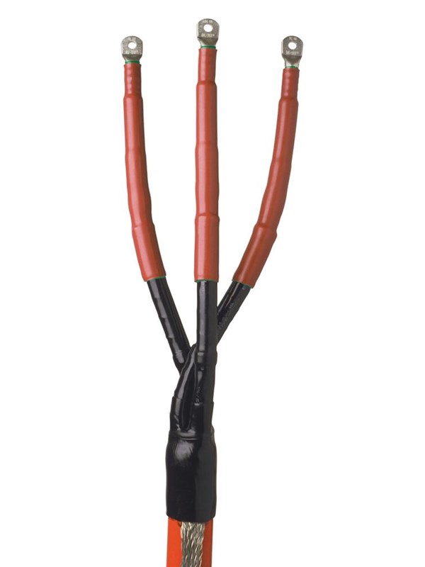 Raychem [9911005357]