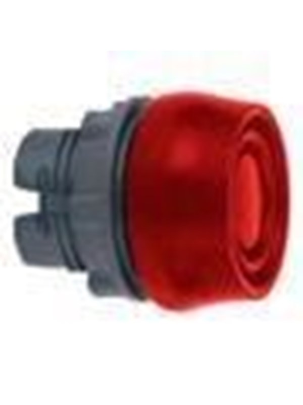 Schneider Electric Pushbutton operator head