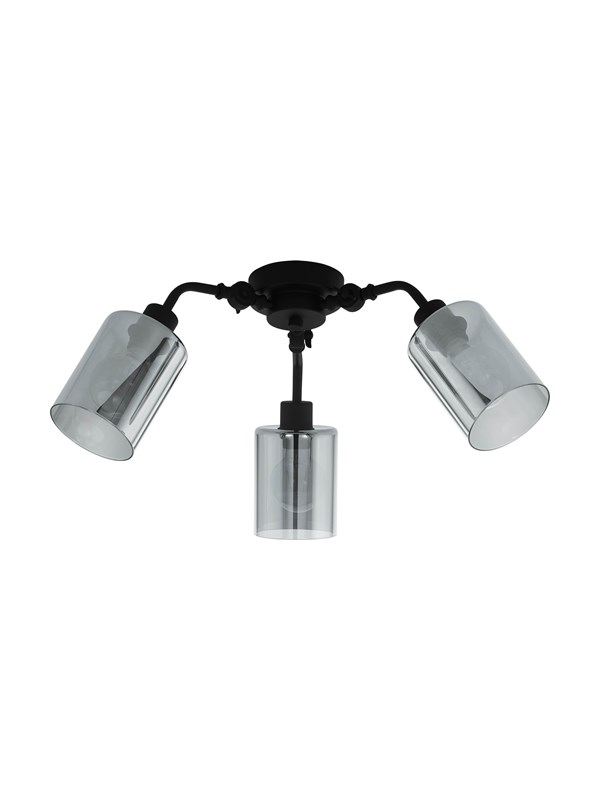 EGLO FORESTBURG takbelysning - svart/svart-transparent