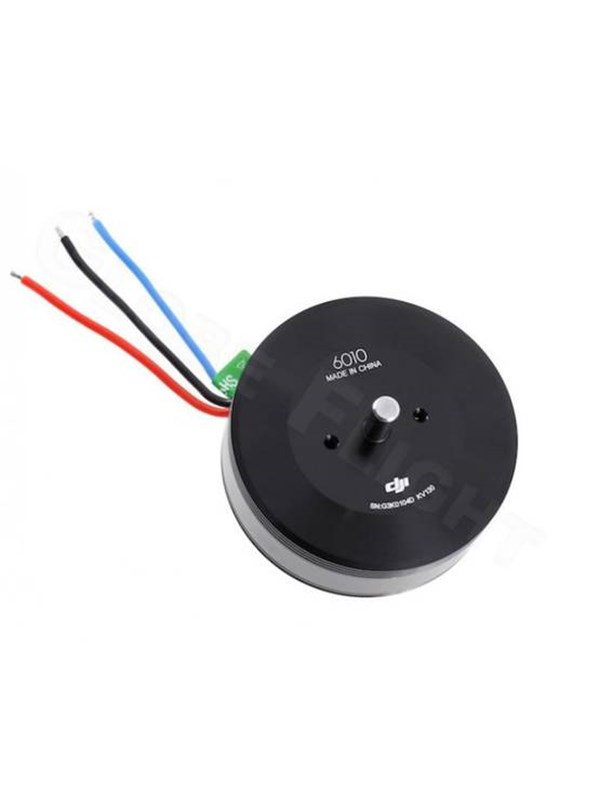 Dji E2000 6010 Pro Motor