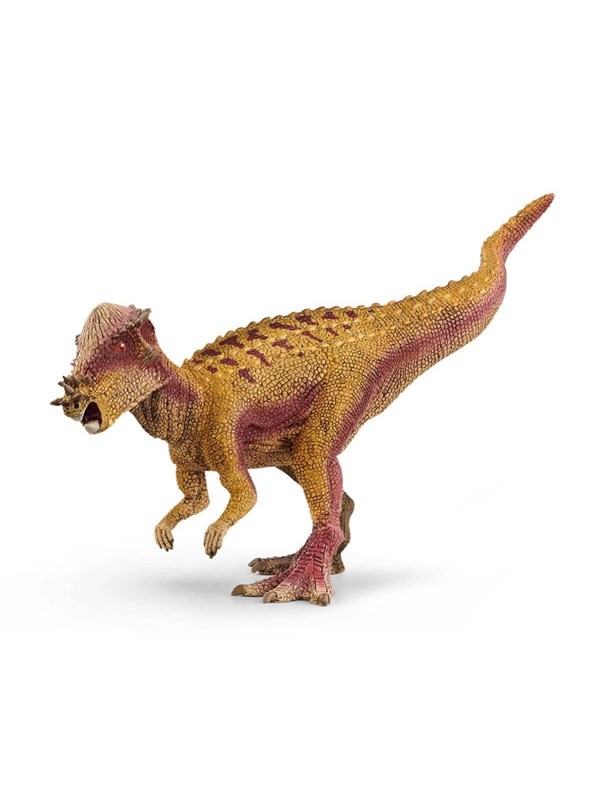 Produktfoto för Schleich Pachycephalosaurus
