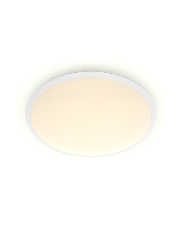 Philips Cavanal SS RD 12W 27K W HV IP44 06