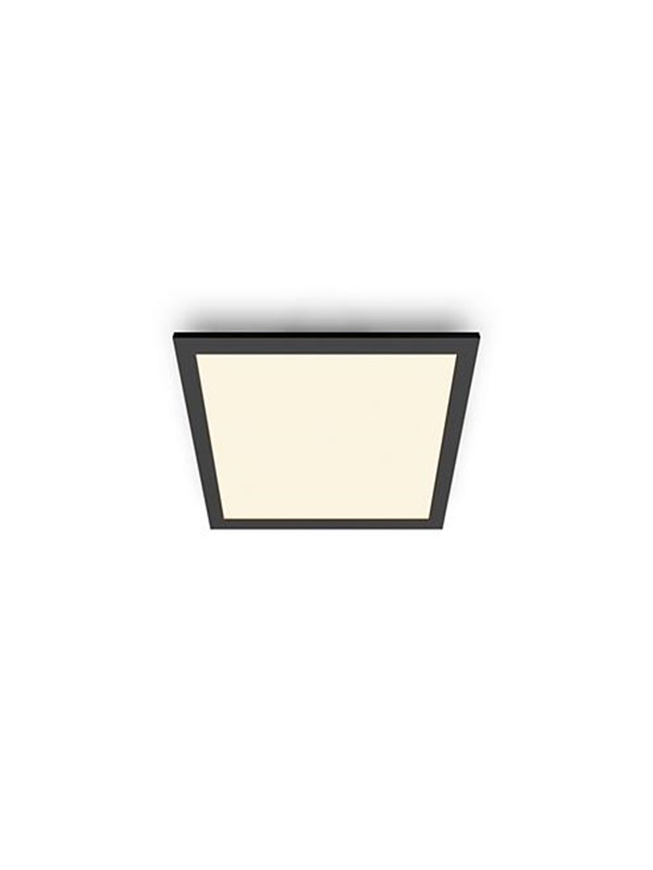 Philips Panel ceiling CL560 SS SQ 12W 27K B HV06