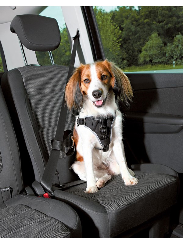 Produktfoto för Trixie Bilsele Svart Dog Protect M 50-65 cm/20 mm