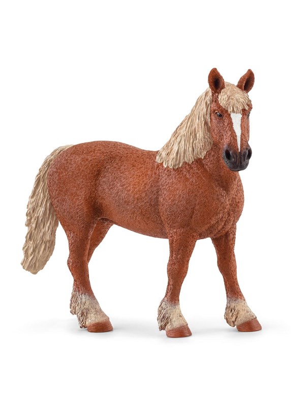 Schleich Belgiskt kallblod