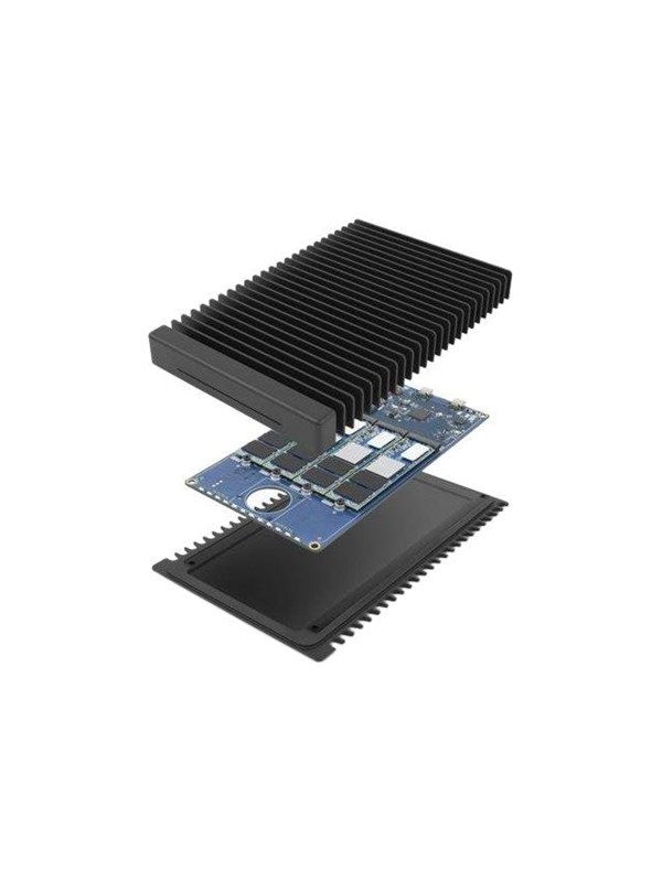 OWC ThunderBlade - SSD - 16 TB - Thunderbolt 3
