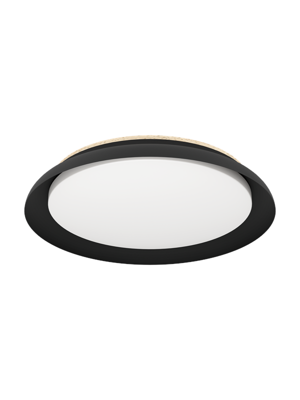 EGLO PENJAMO 1 ceiling lamp black