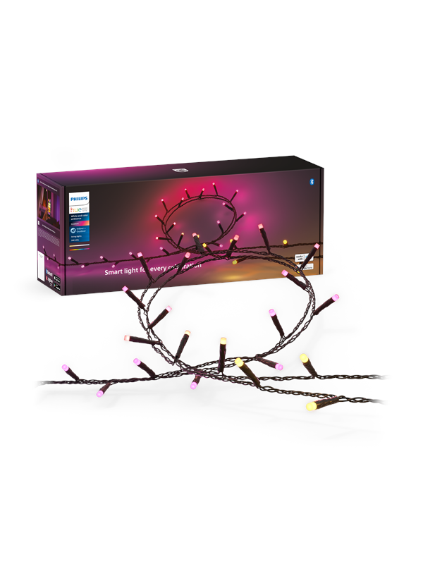 Philips Hue Festavia String Lights 500leds