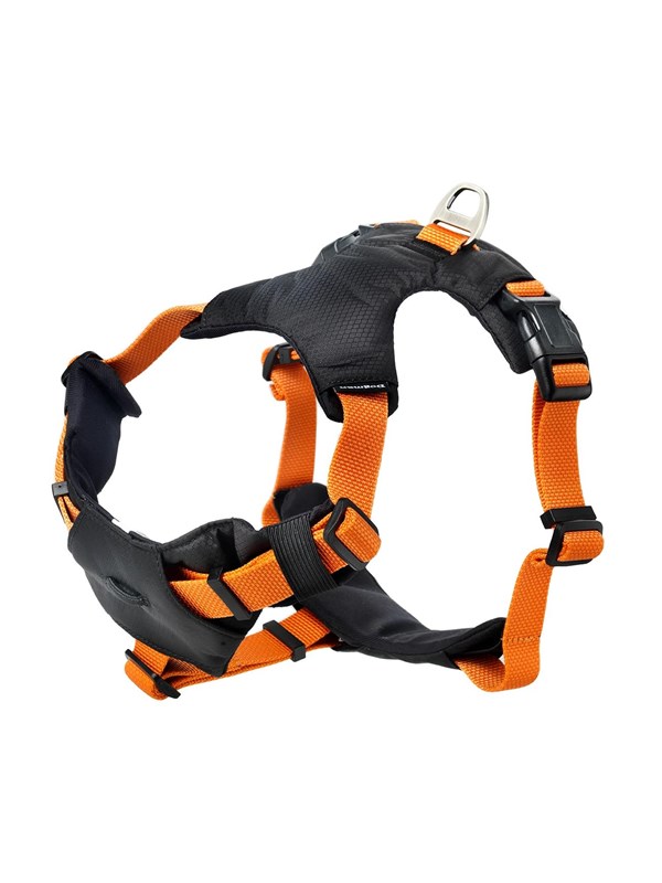 Dogman Sportsele Emmi orange XL