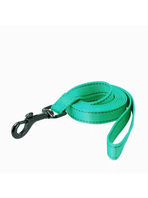 Dogman Reflective Nylon Dog Leash Iris Turquoise S 15mm 180cm