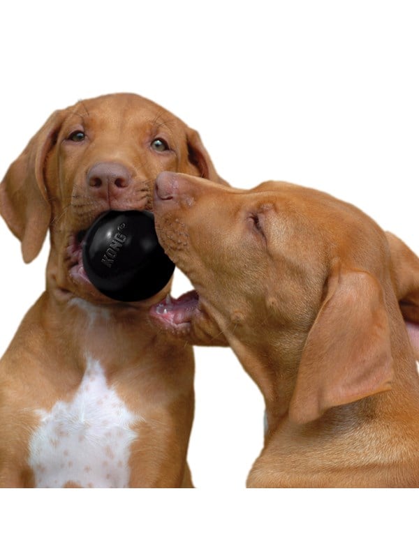 KONG Dog Toy Ball Extreme Small 6cm