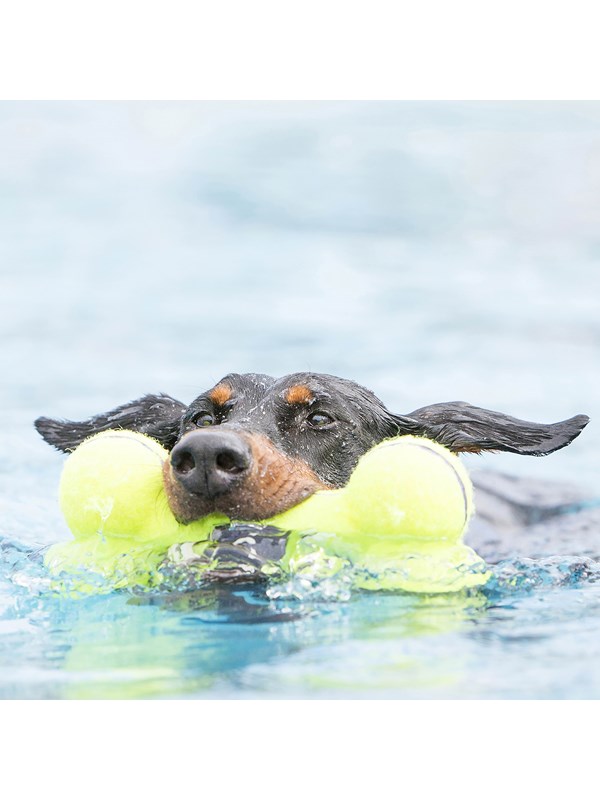 KONG Hundleksak AirDog Squeaker Bone 11cm
