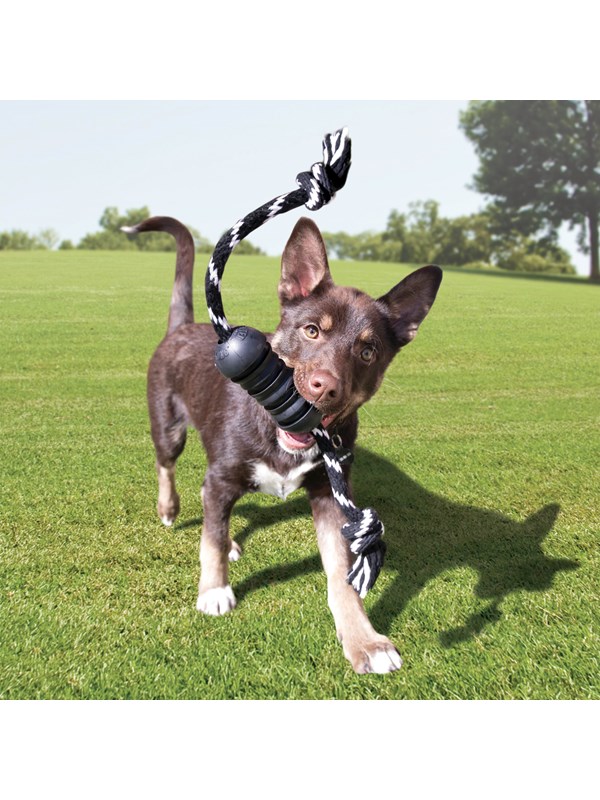 KONG Dog Toy Extreme Dental W/Rope Medium