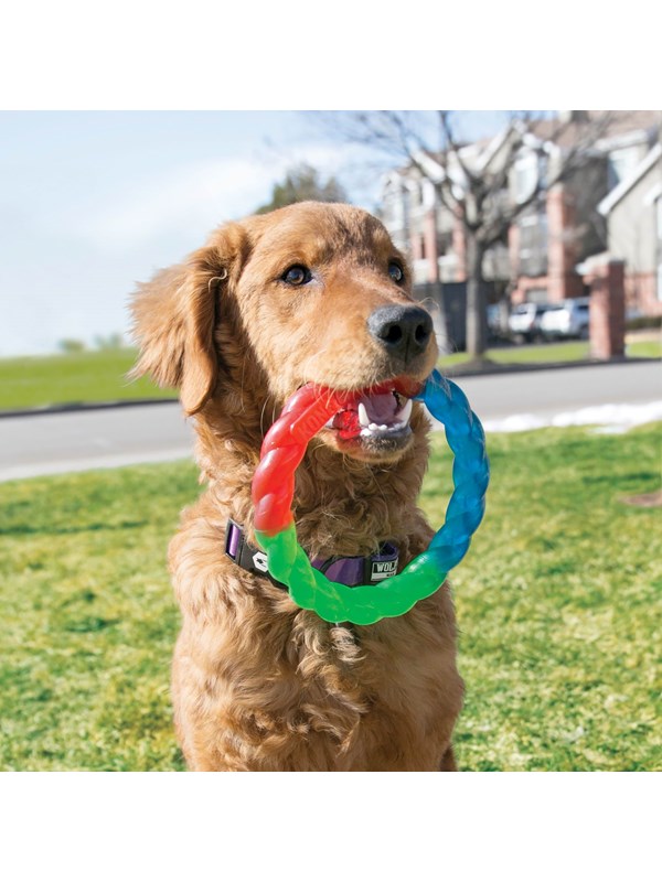 Kong Dog Toy Twistz Ring 17cm