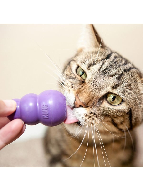 KONG Kitty Kong