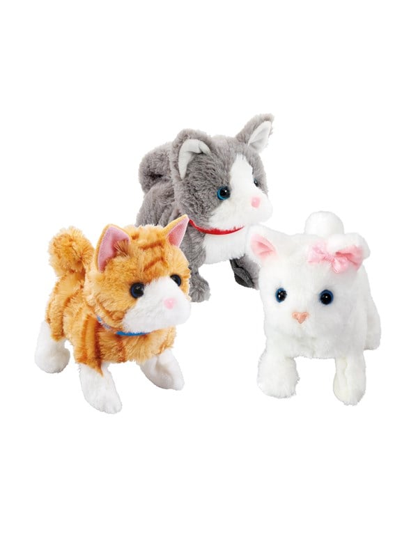 Happy Pets Pretty Little Kitty 3 (Assorted)