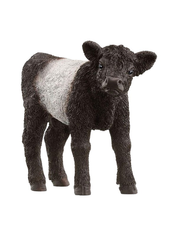 Schleich Gallowaykalv