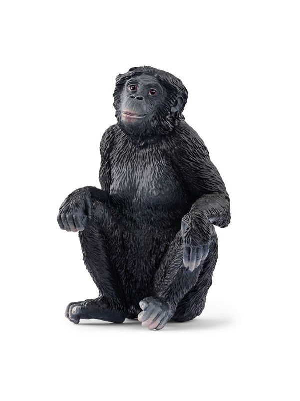 Schleich Bonobo hona