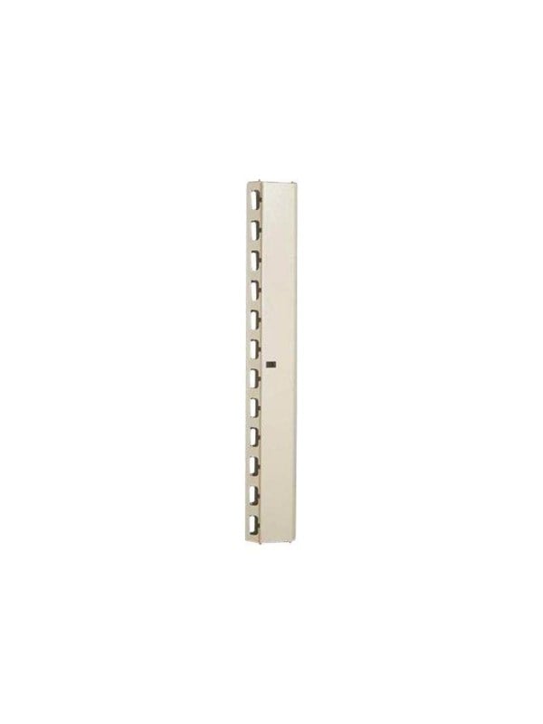 Professional Line DN-19 ORG-42U - rack cable management panel - 42U
