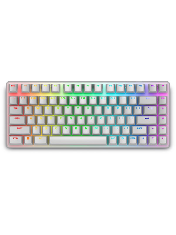 Dell Alienware Pro Wireless Gaming Keyboard - keyboard - QWERTY - US - lunar light - Gaming Tangentbord - Engelska (US) - Vit