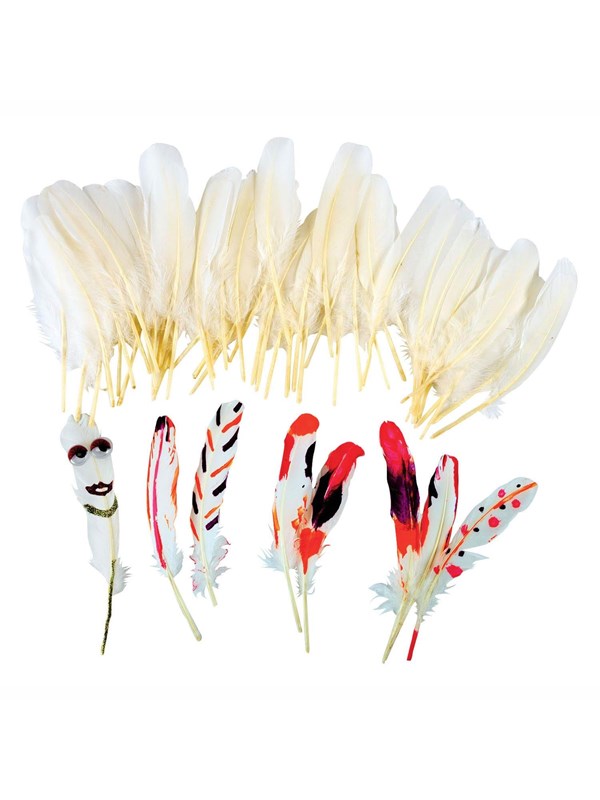 Colorations - White Feathers 48pcs.