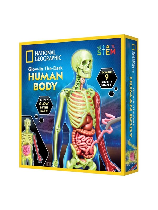 Produktfoto för National Geographic Human Body Science Kit
